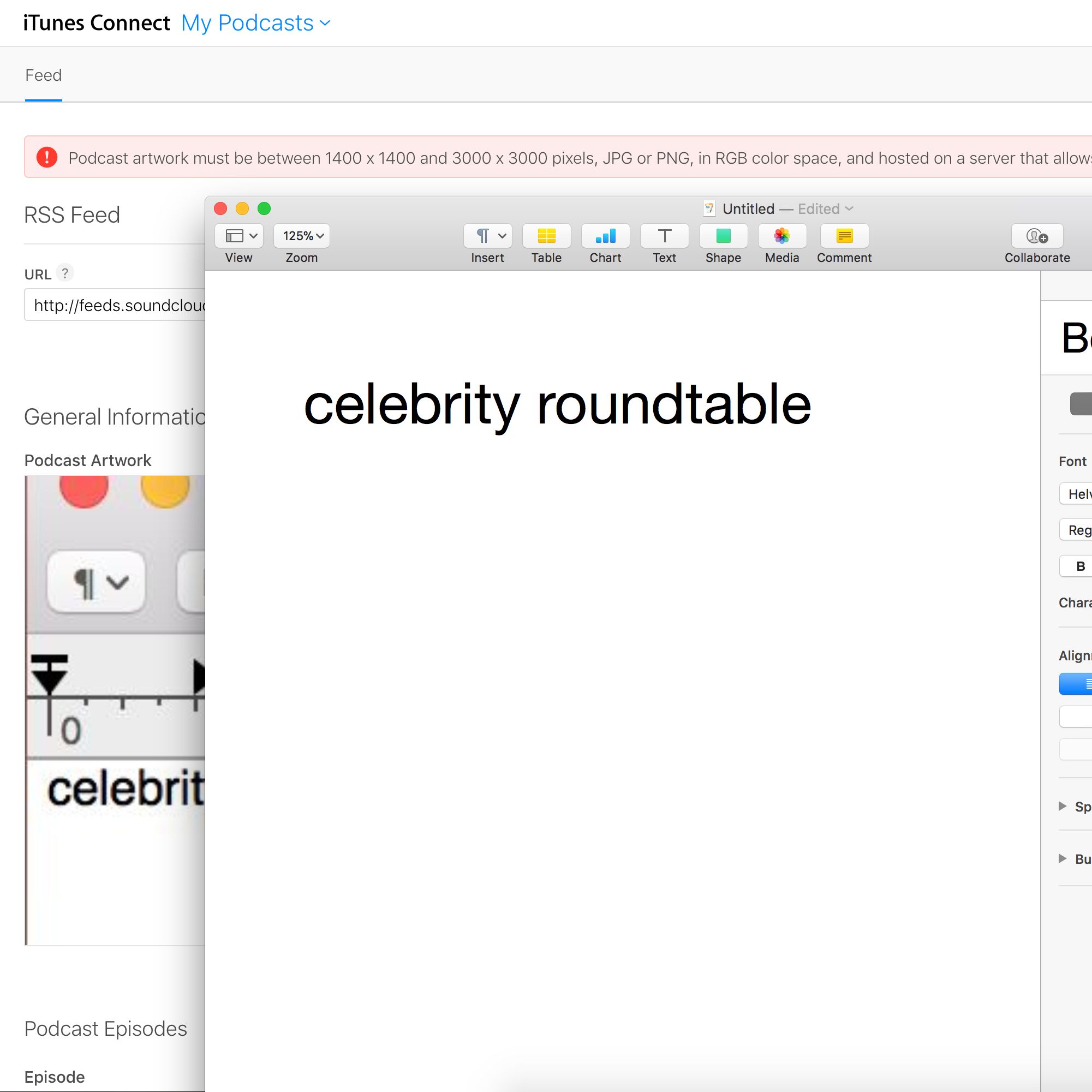 Celebrity Roundtable