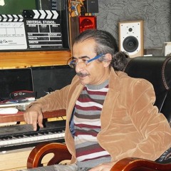 Hisham Zeitoun