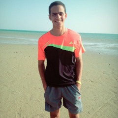 Youssef Mohsen Bayad 1