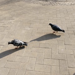 東日本橋労働争議20121109