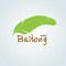 Baitong Music