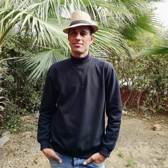 الشيخ محمد عبد العزيز حصان من سورة النمل