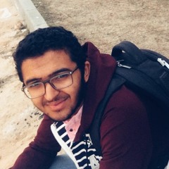 Hisham Samir