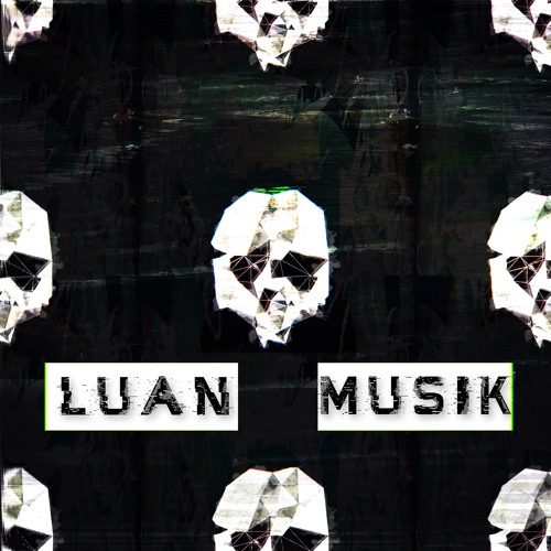 Luan Musik’s avatar