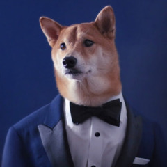 TuxeDoge YT
