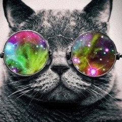 Astrocat25space