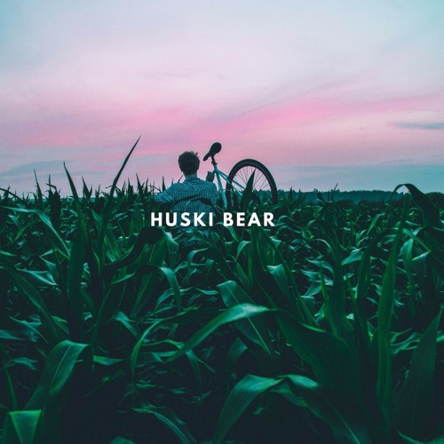 Stream Huski Bear music | Listen to songs, albums, playlists for free ...