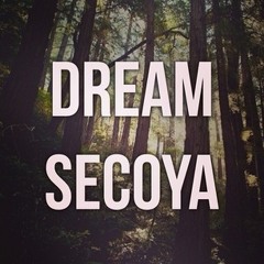 Dream Secoya