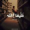 Abo Rafiy Mustafa