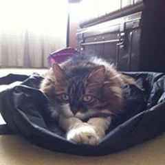 Frédéric Teahupoo Fred