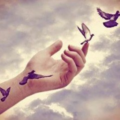 وائل الفشنى ادعوك