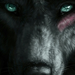 night wolf vloge