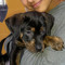 Bhavya Sivaram