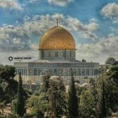 حمدي حمادة