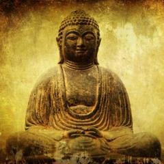 Zen Trip