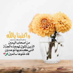 محمود أبوحسن
