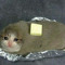mammal