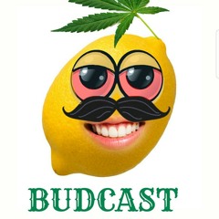 The Budcast