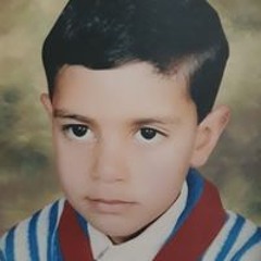 Hitham Ghanem