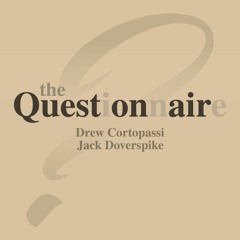The Questionnaire