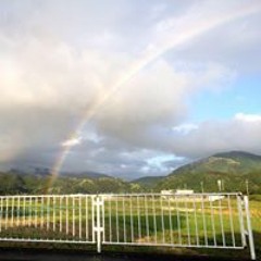 佐藤 かおり