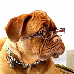 Reading Deutschrap Lyrics