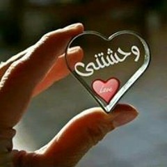 محمد محسن