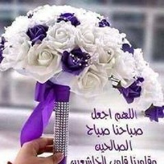 aml nasser