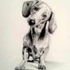 Nancy Barillas Ramirez