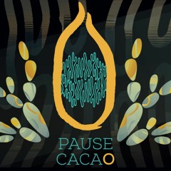Pause Cacao