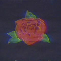 changedaccount555