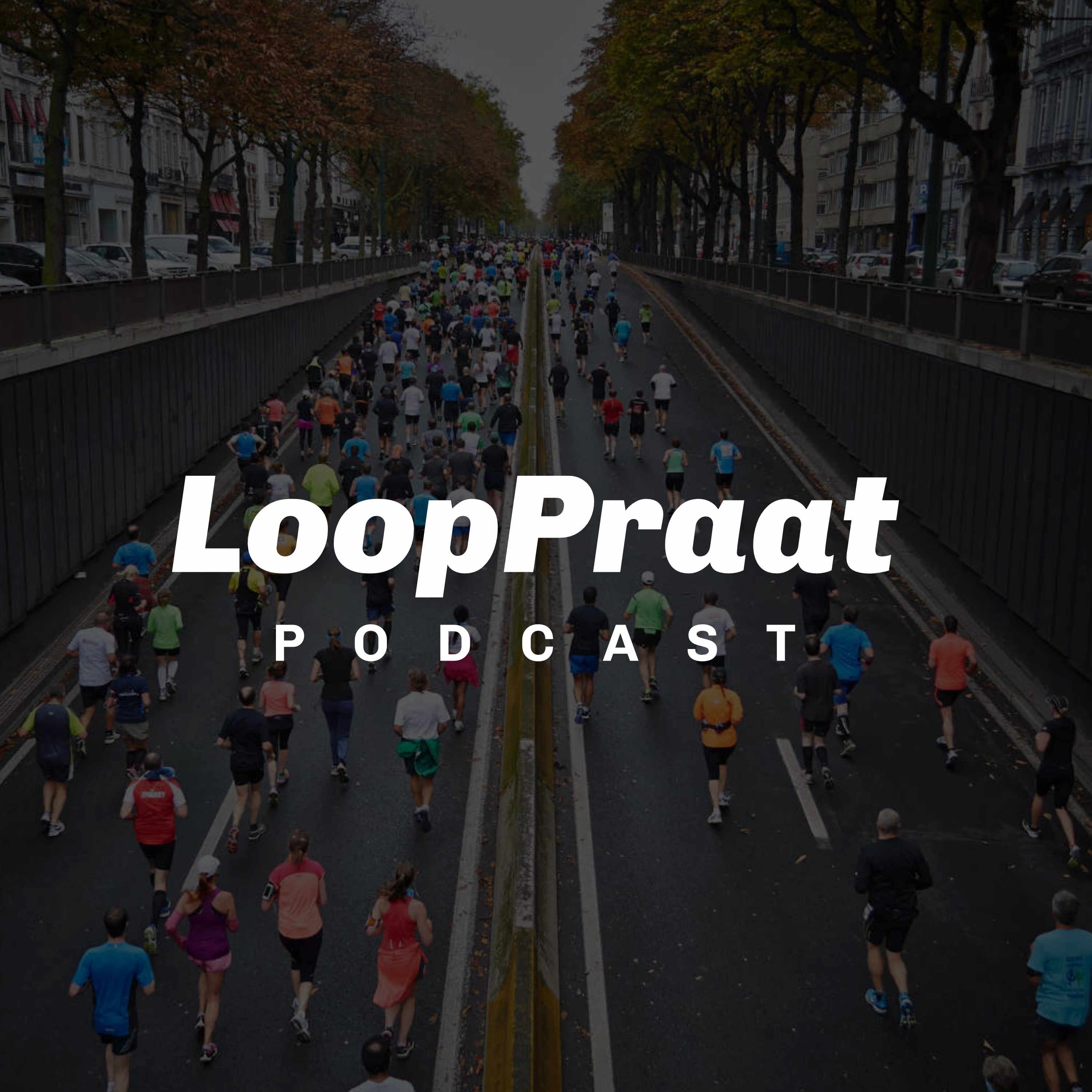 LoopPraat logo