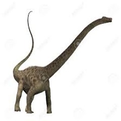 Diplodocus