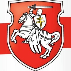 TheLonghornBLR