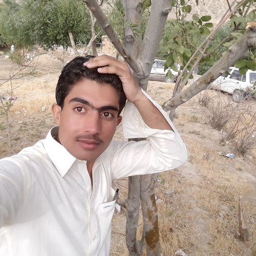 Stream sami buzdar | Listen to Zafar zardo yar songs playlist online ...
