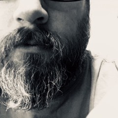 the fawn and the sparrow