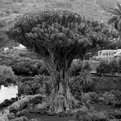 The Man From The Cave