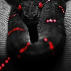 Marvin Lee Turner Jr.