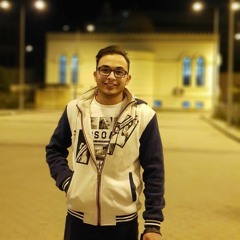 Ramy M.Barakat