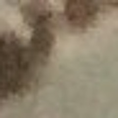 jman5