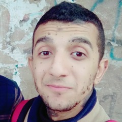 Kareem Ashraf Eldeeb