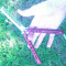 butter fly knife king