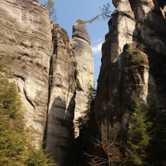 Tomasz Malek