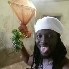 rasta
