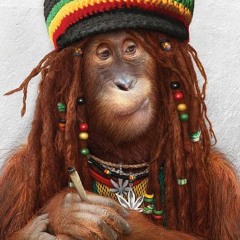 mr. guru