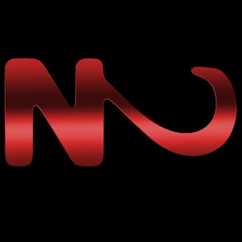 N2’s avatar