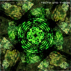 Tecto & Thesis