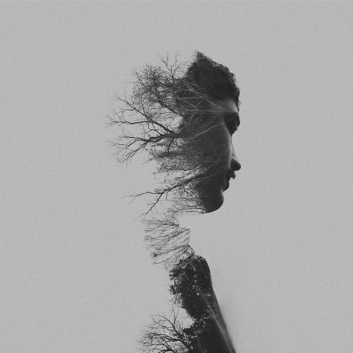 Spencer Johnson - I Wonder