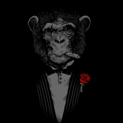 يقول بن هاشم_جلسه_ابوبكرسالم