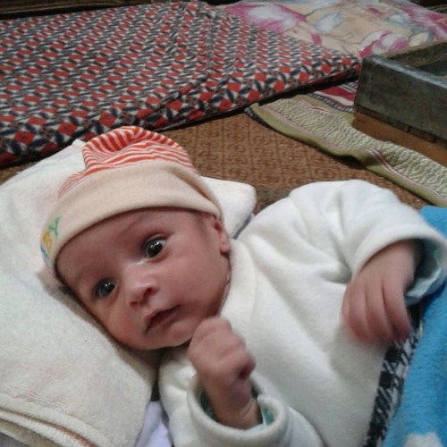 Musafar Janan. Tapay
